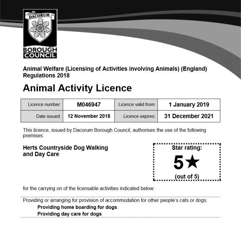 Dog Walker Day Care Home Boarding Licence Hemel Hempstead